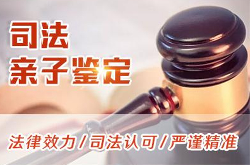 临夏司法亲子鉴定哪里做,临夏司法DNA亲子鉴定结果需要多久