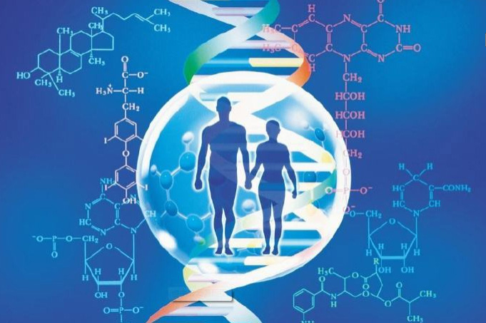 临夏个人DNA鉴定要如何办理,临夏隐隐私DNA亲子鉴定流程是什么有哪些规定