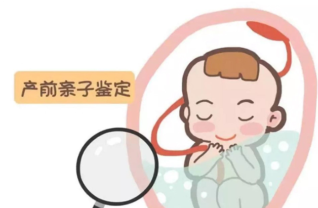临夏怀孕十二周能办理孕期亲子鉴定吗,临夏做无创孕期亲子鉴定价格收费